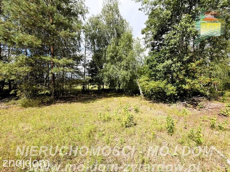 Działka rolno-leśna w Petrykozach – 16 975 m2! - zdjęcie 13