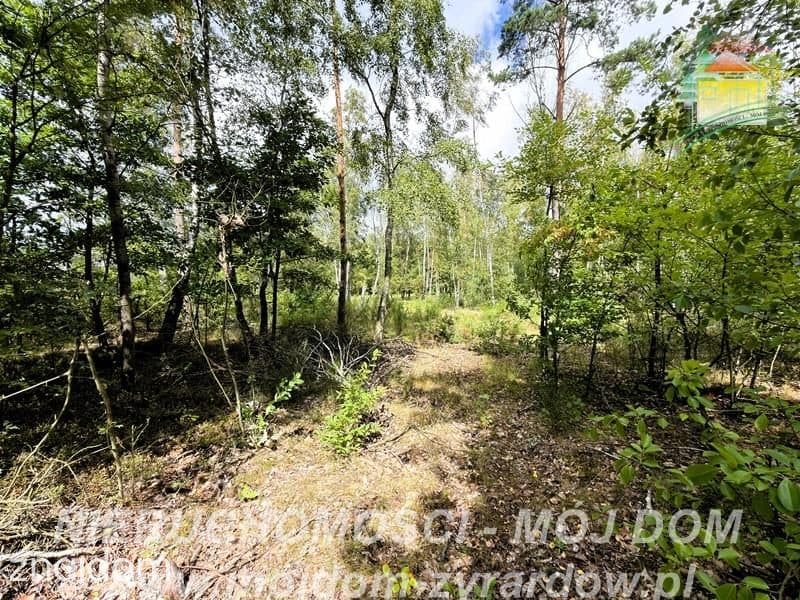 Działka rolno-leśna w Petrykozach – 16 975 m2! - zdjęcie 14