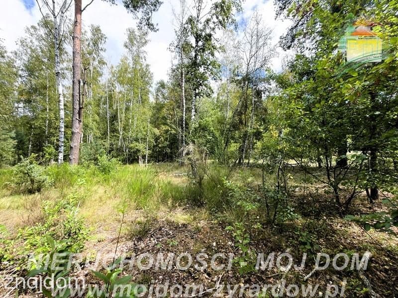 Działka rolno-leśna w Petrykozach – 16 975 m2! - zdjęcie 15