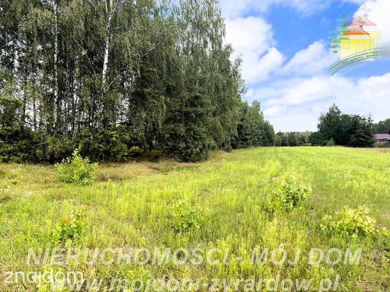 Działka rolno-leśna w Petrykozach – 16 975 m2! - zdjęcie 3
