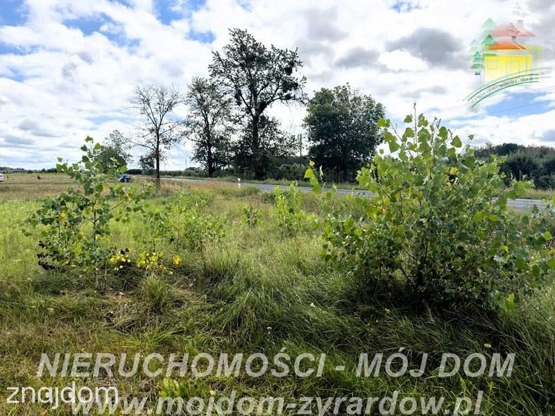 Działka rolno-leśna w Petrykozach – 16 975 m2! - zdjęcie 4