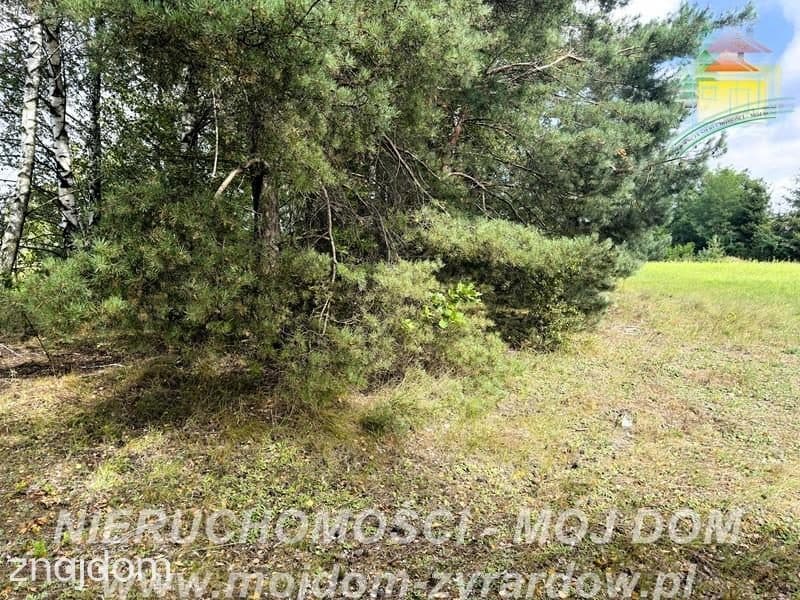 Działka rolno-leśna w Petrykozach – 16 975 m2! - zdjęcie 5