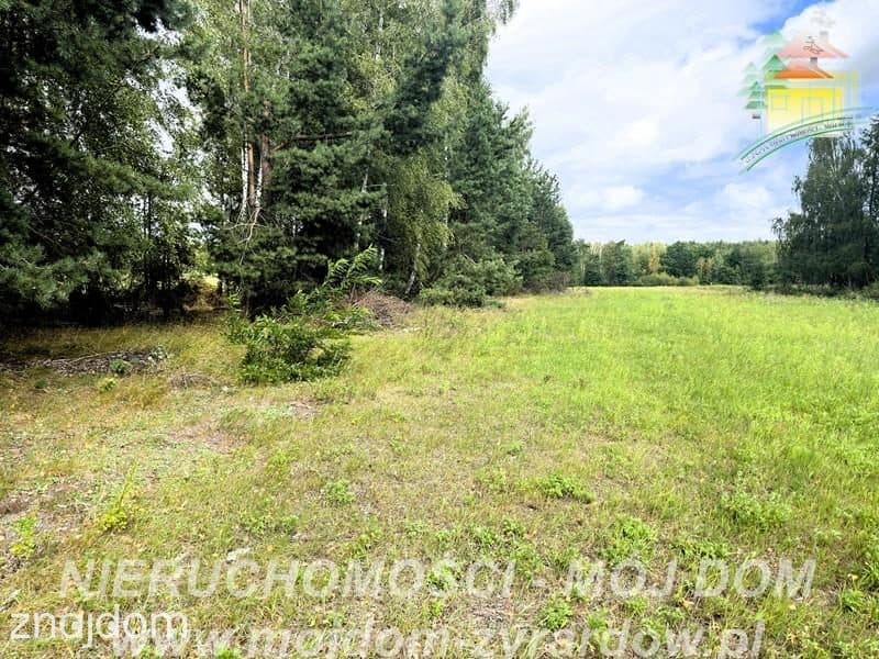 Działka rolno-leśna w Petrykozach – 16 975 m2! - zdjęcie 7