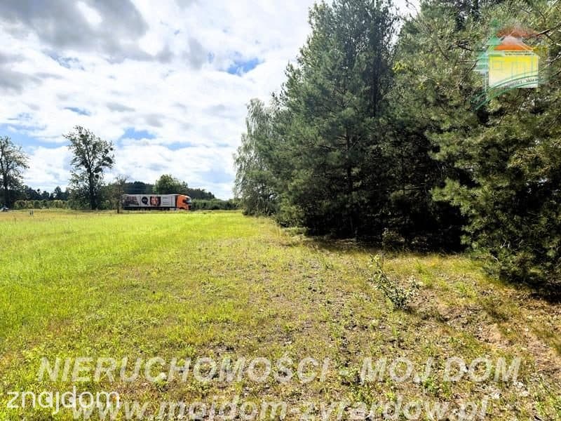 Działka rolno-leśna w Petrykozach – 16 975 m2! - zdjęcie 8