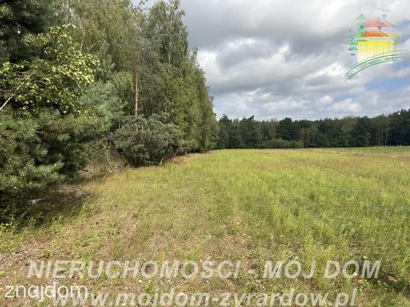 Działka rolno-leśna w Petrykozach – 16 975 m2! - zdjęcie 9