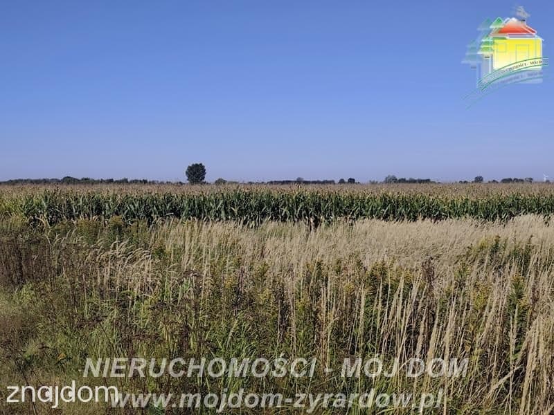 Działka rolna w atrakcyjnej cenie, Kamionka.