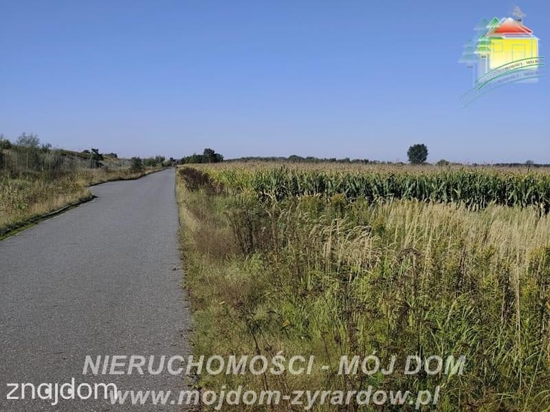 Działka rolna w atrakcyjnej cenie, Kamionka. - zdjęcie 2