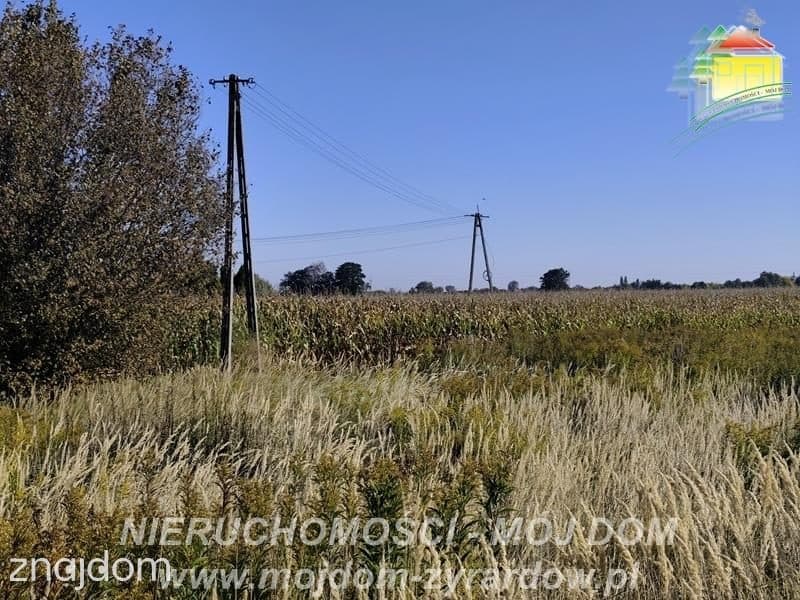Działka rolna w atrakcyjnej cenie, Kamionka. - zdjęcie 4