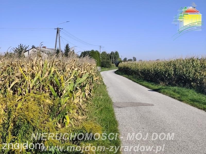 Działka rolna w atrakcyjnej cenie, Kamionka. - zdjęcie 6
