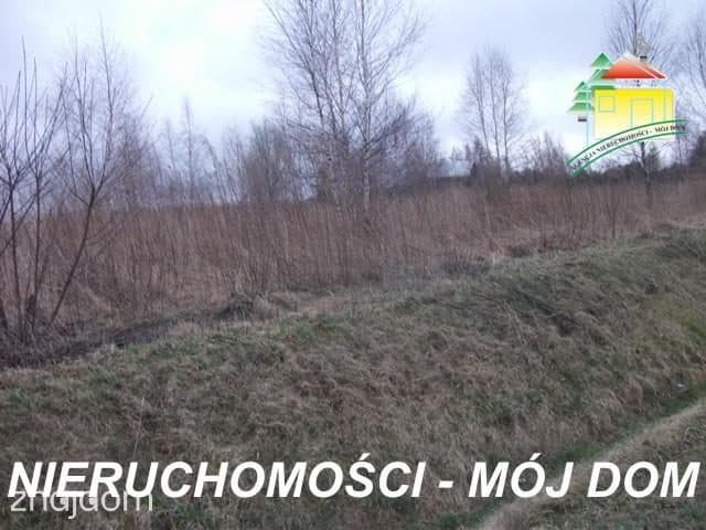 Oferta 51009 - zdjęcie 4