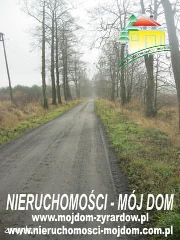 Oferta 51014 - zdjęcie 3