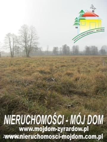 Oferta 51014 - zdjęcie 4