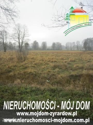Oferta 51014 - zdjęcie 5