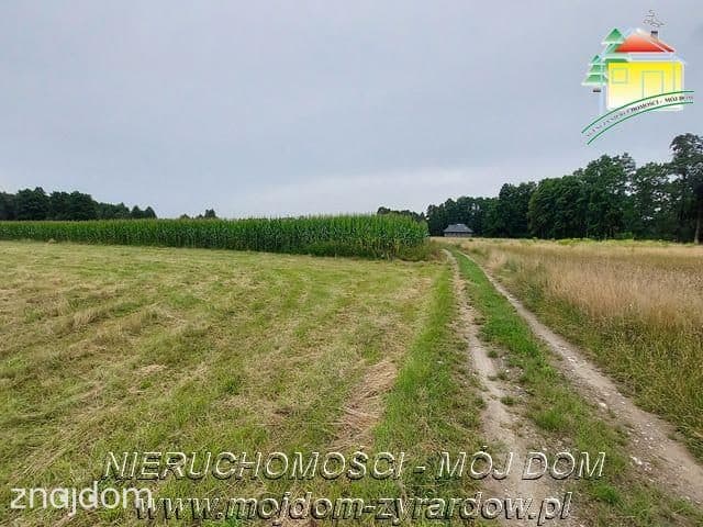 Duża działka w Starych Budach. - zdjęcie 4
