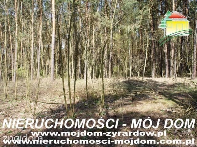 Oferta 51054 - zdjęcie 2