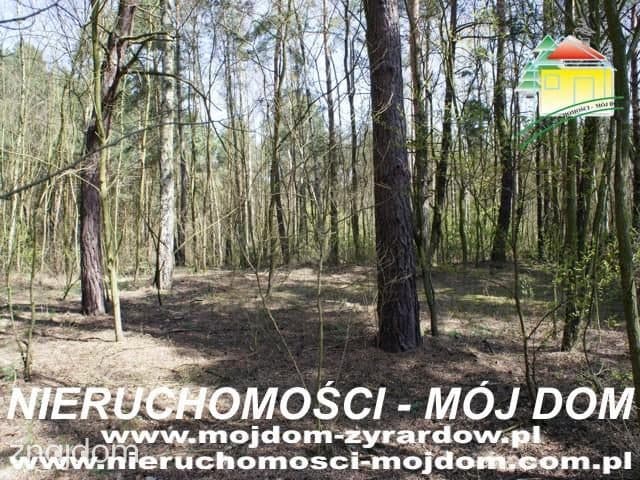 Oferta 51054 - zdjęcie 4