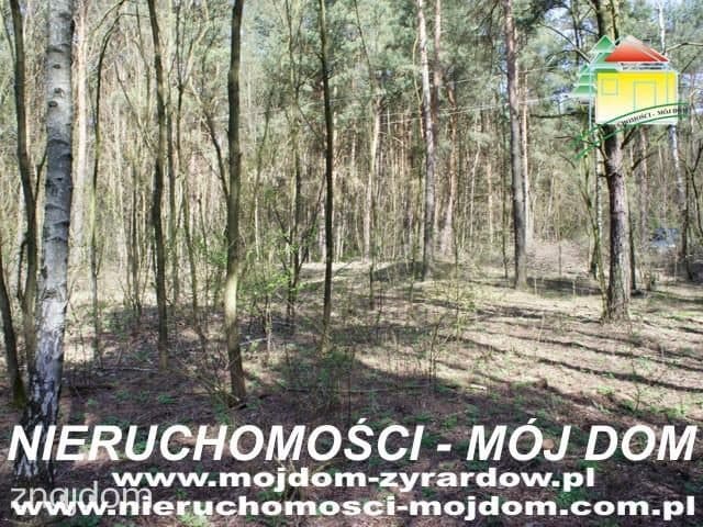 Oferta 51054 - zdjęcie 5