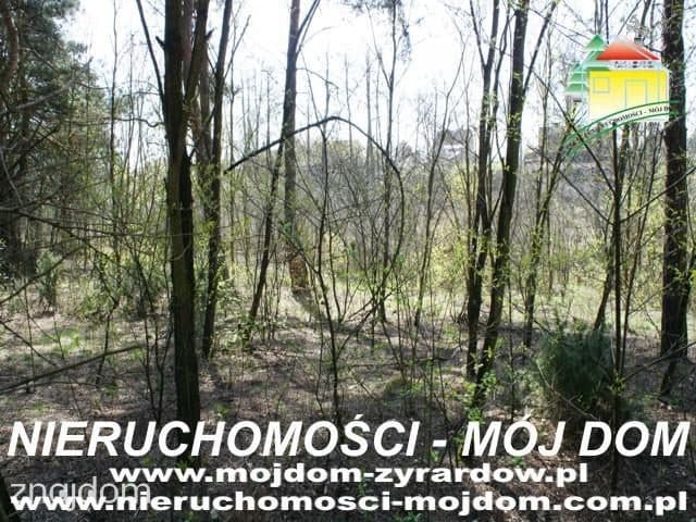 Oferta 51054 - zdjęcie 6