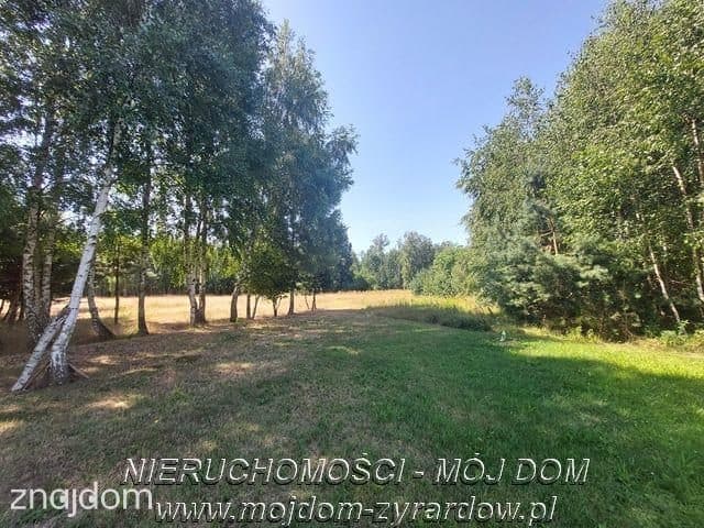 Działka rolna 2,5 ha. - zdjęcie 6