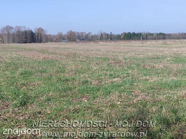 Duża działka w Studzieńcu