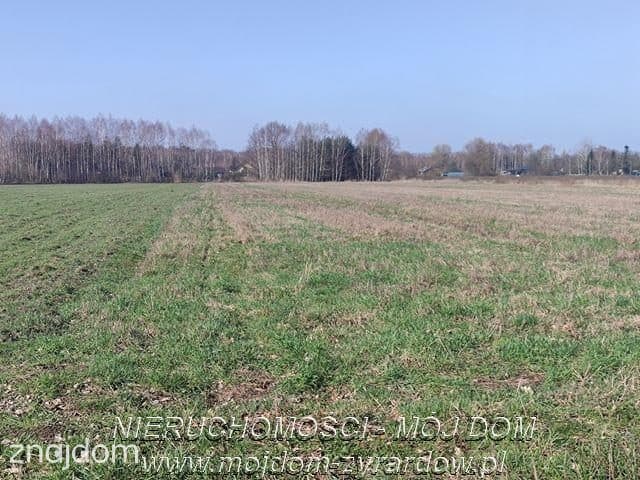 Działka w atrakcyjnej cenie. Studzieniec. - zdjęcie 2