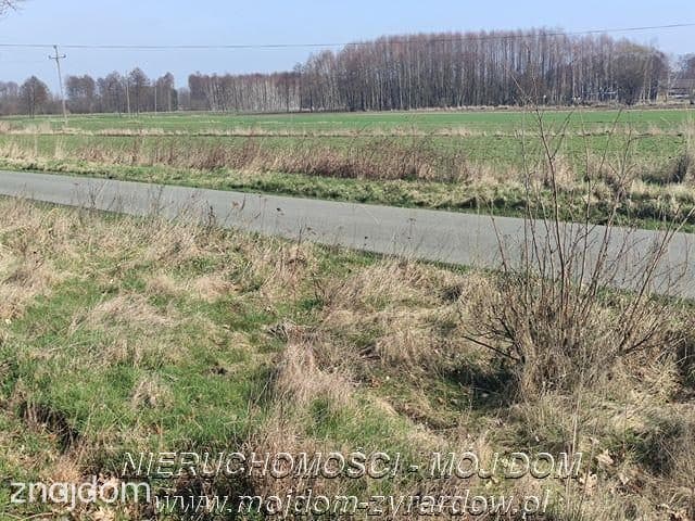 Działka w atrakcyjnej cenie. Studzieniec. - zdjęcie 4