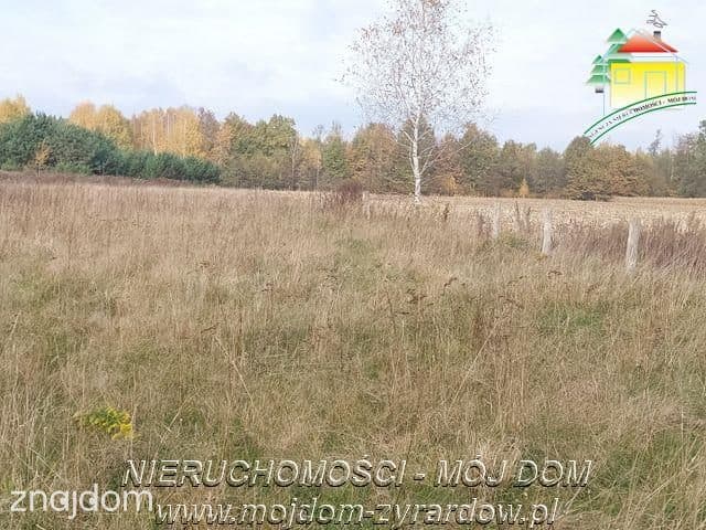 Polecamy dużą działkę budowlano - usługową - zdjęcie 2