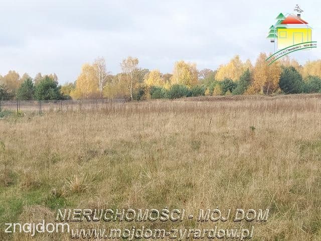 Polecamy dużą działkę budowlano - usługową - zdjęcie 3