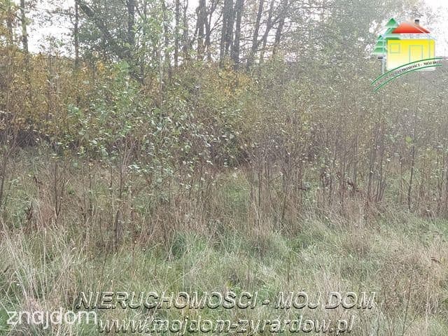 Polecamy dużą działkę budowlano - usługową - zdjęcie 4