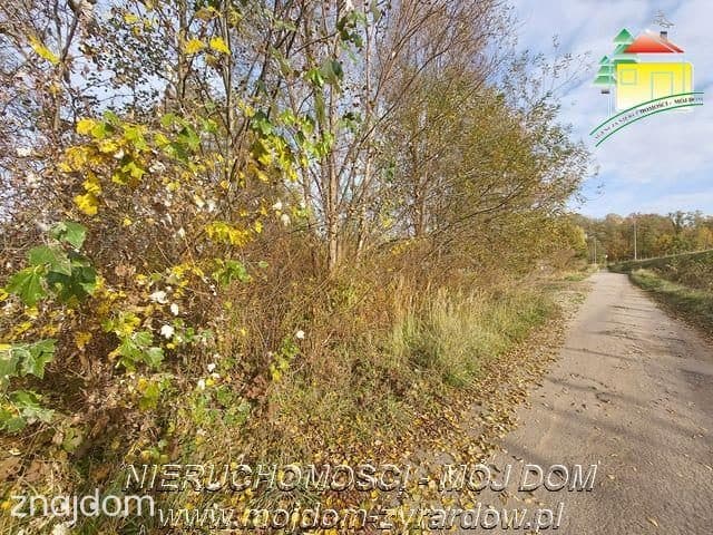 Polecamy dużą działkę budowlano - usługową - zdjęcie 5