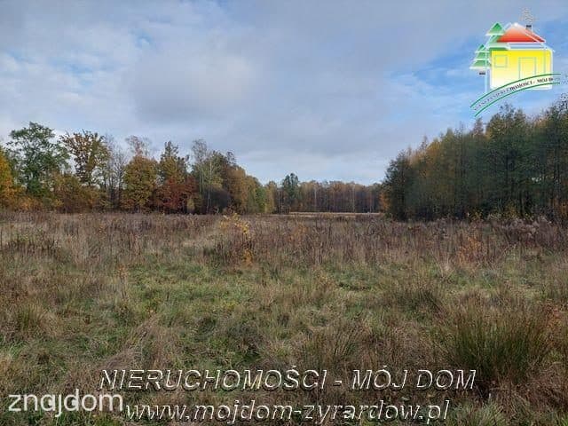 Ładna działka budowlana pod Żyrardowem - zdjęcie 4