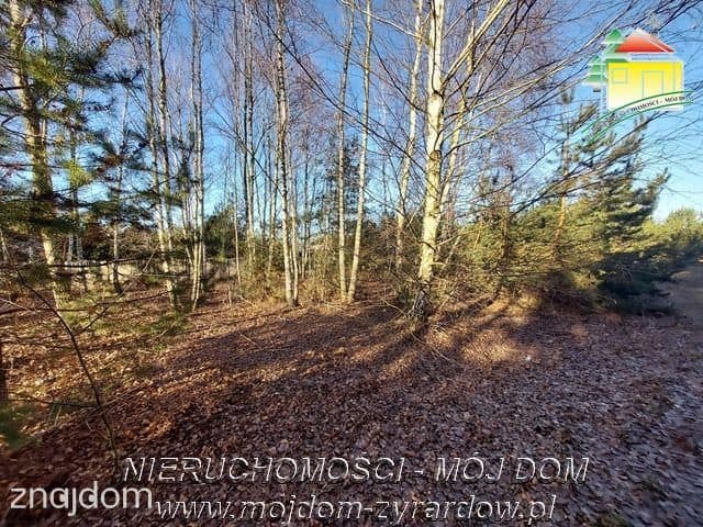 Śliczna działka budowlana