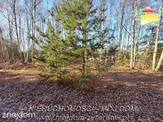 Śliczna działka budowlana - zdjęcie 2