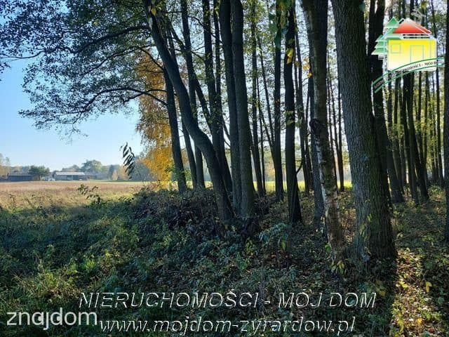 Polecamy działkę w spokojnej okolicy, Radziwiłłów.
