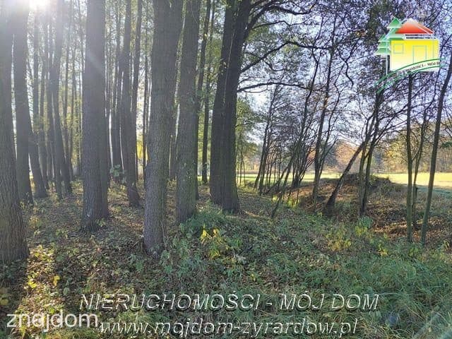 Polecamy działkę w spokojnej okolicy, Radziwiłłów. - zdjęcie 2