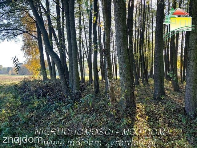Polecamy działkę w spokojnej okolicy, Radziwiłłów. - zdjęcie 4