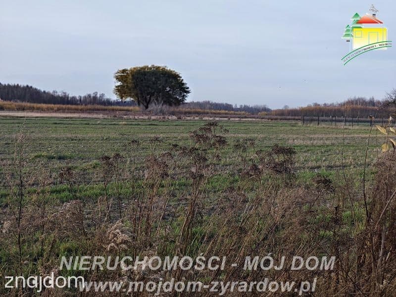 Kilka ładnych działek budowlanych w Korytowie. - zdjęcie 3