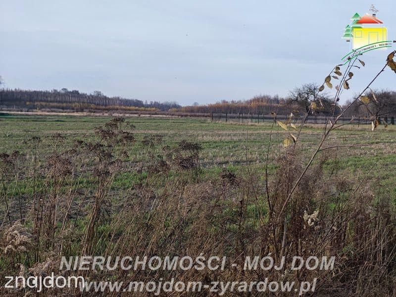 Kilka ładnych działek budowlanych w Korytowie. - zdjęcie 4