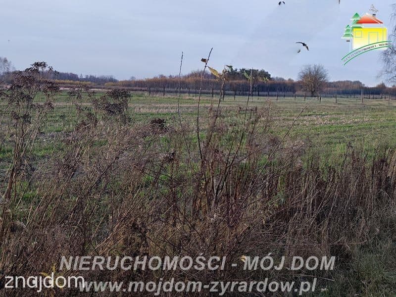 Kilka ładnych działek budowlanych w Korytowie. - zdjęcie 5
