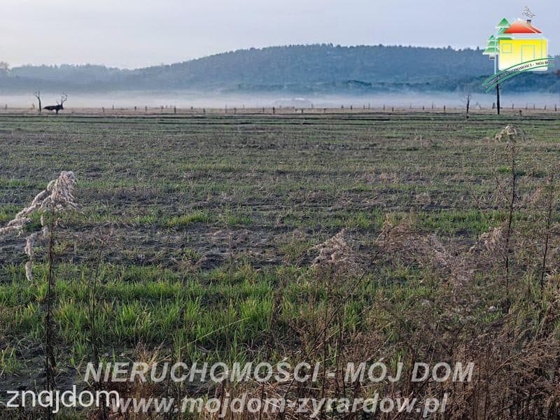 Kilka ładnych działek budowlanych w Korytowie. - zdjęcie 6