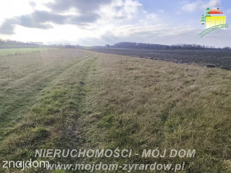Duża działka rolna ok. 20700 m2, Stary Łajszczew. - zdjęcie 2