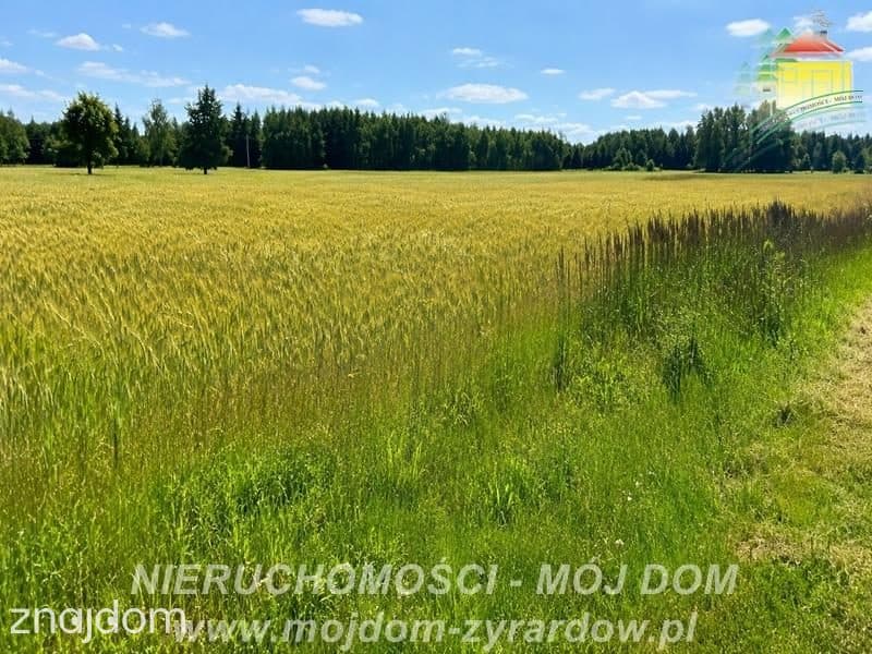 Dwie działki rolne w Studzieńcu! - zdjęcie 3
