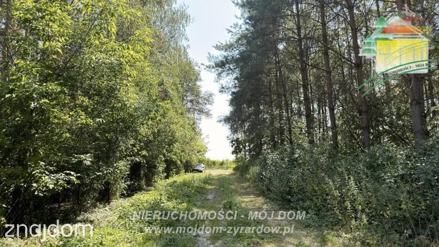 Działka w miejscowości Kaźmierów, gm. Sochaczew! - zdjęcie 3