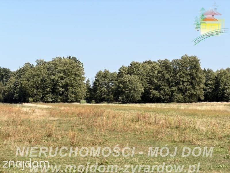 Duża działka w spokojnej i zielonej okolicy!