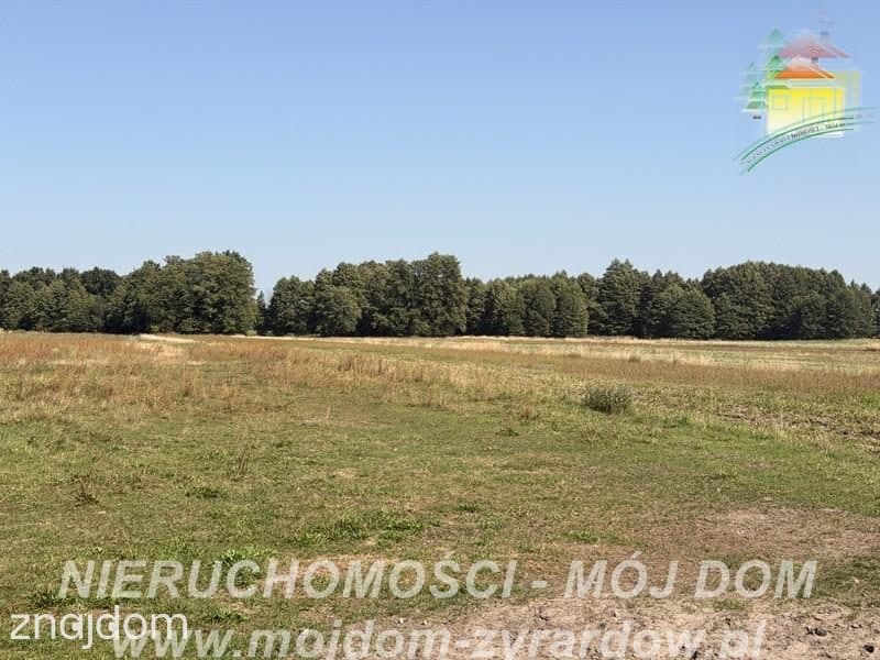 Duża działka w spokojnej i zielonej okolicy! - zdjęcie 2