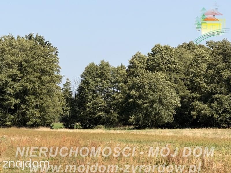 Duża działka w spokojnej i zielonej okolicy! - zdjęcie 3