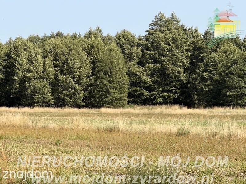 Duża działka w spokojnej i zielonej okolicy! - zdjęcie 4