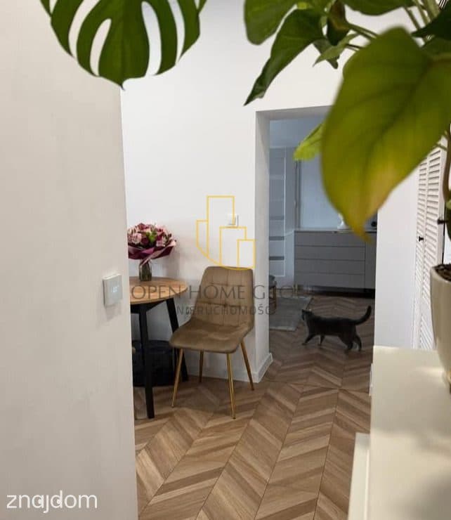 Centrum 2 pok/ Lux 38m2/Top! - zdjęcie 5
