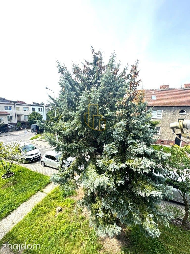 Grecka/Fabryczna/Muchobór/na wynajem/2 pok/ogród - zdjęcie 16
