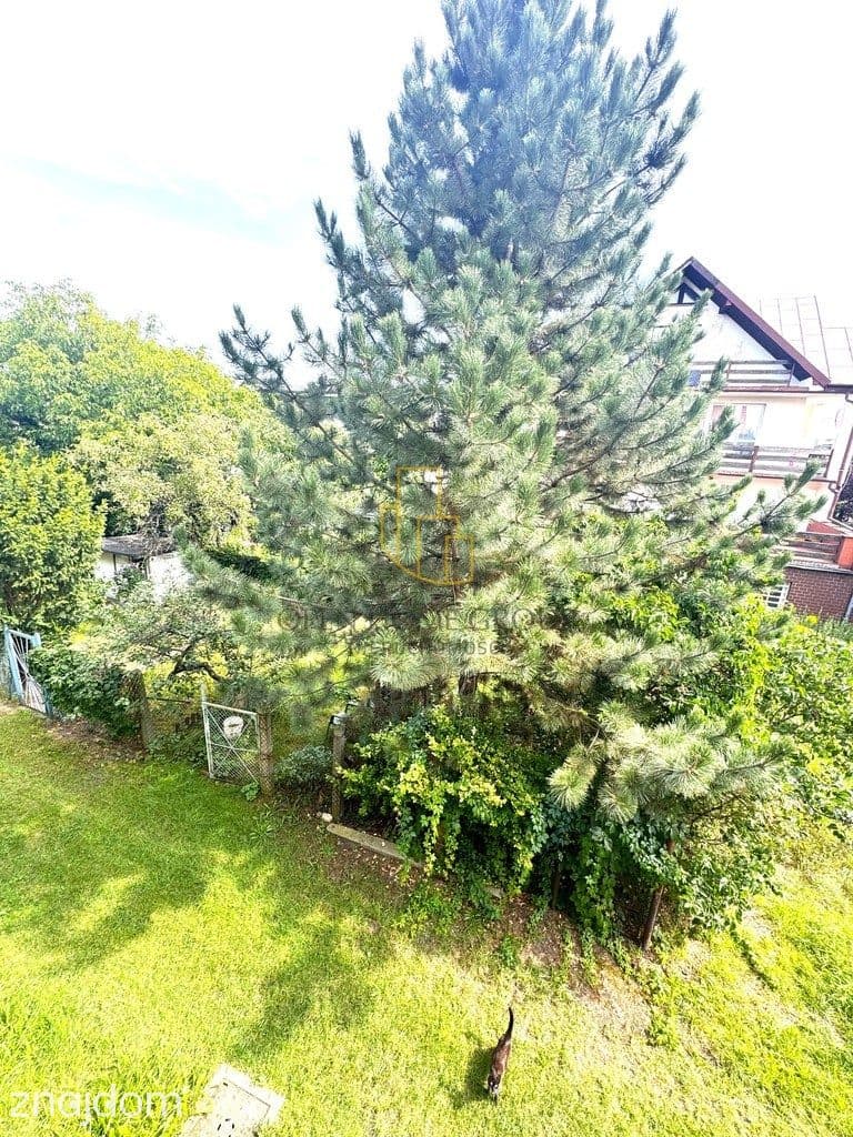 Grecka/Fabryczna/Muchobór/na wynajem/2 pok/ogród - zdjęcie 17
